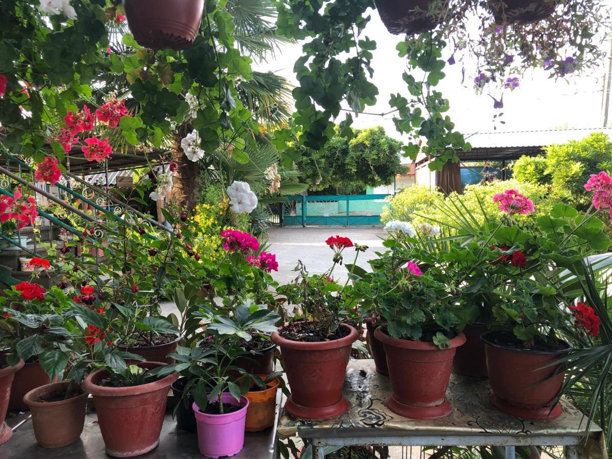 Green House Hotel Alakhadzi Exterior photo